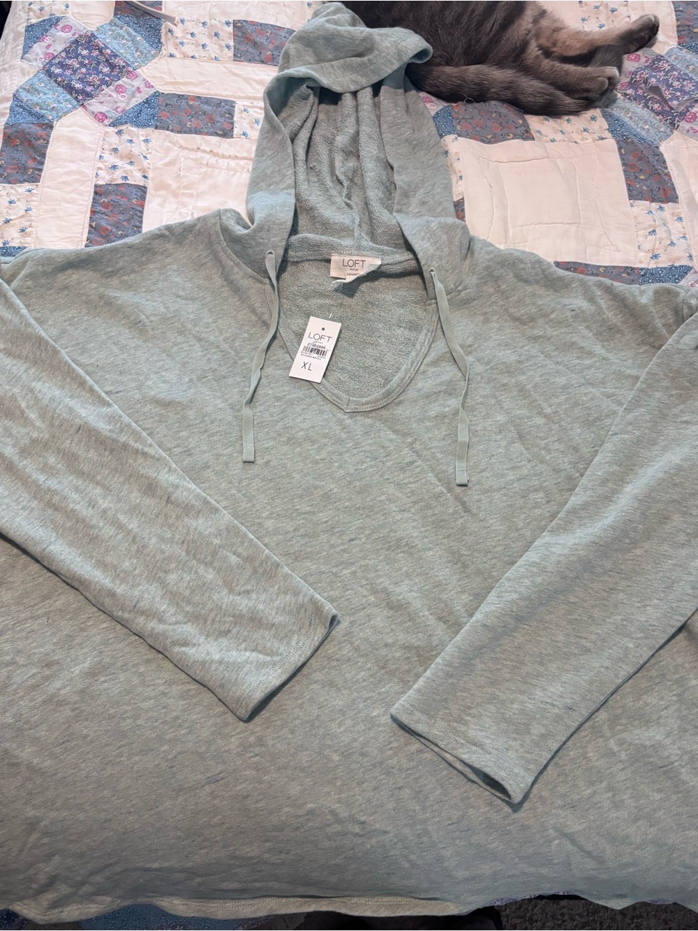 LOFT Light Sage Green Hooded Pullover